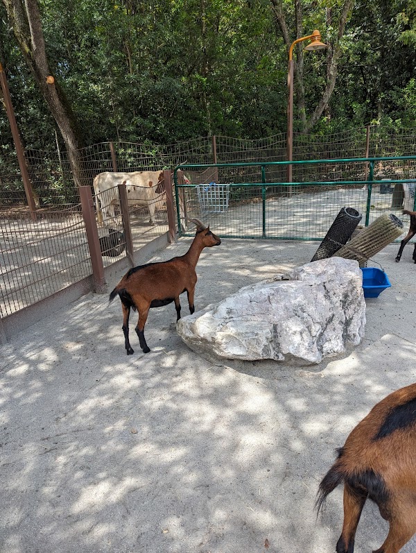 Conservation Station 3