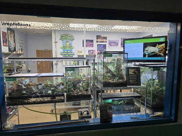 Conservation Station 2