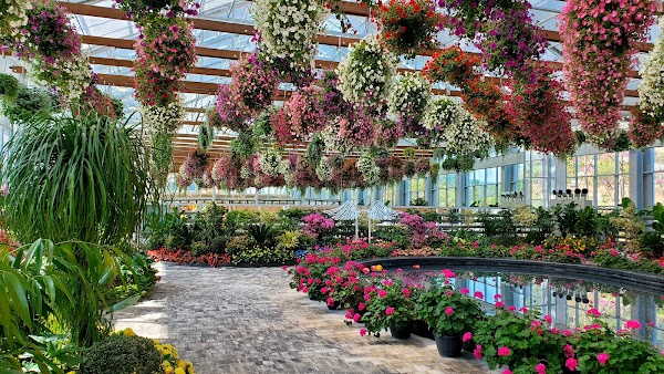 Gapyeong Begonia Bird Park 5