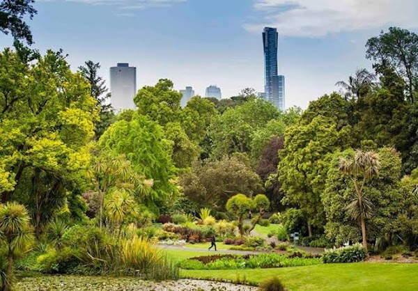 Royal Botanic Gardens Victoria - Melbourne Gardens 3