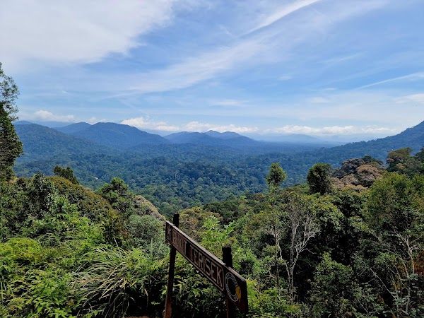 Taman Negara