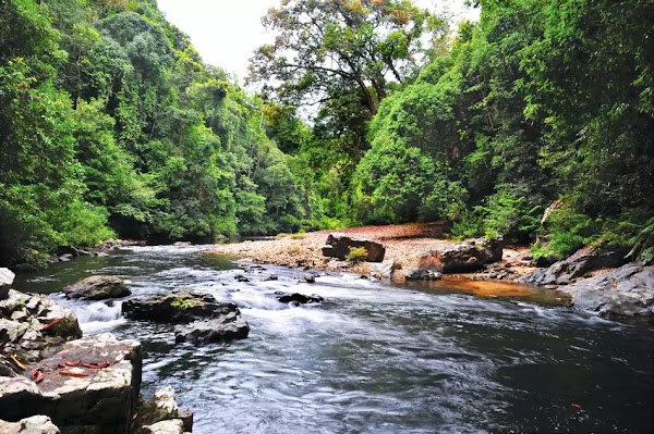 Taman Negara 4