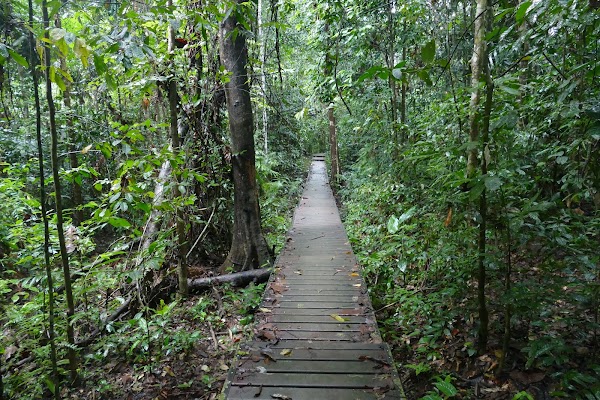 Taman Negara 3