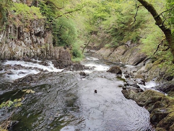 Rhaeadr Ewynnol / Swallow Falls 4