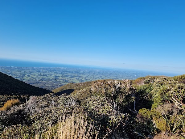 Mangorei Track Trailhead 4