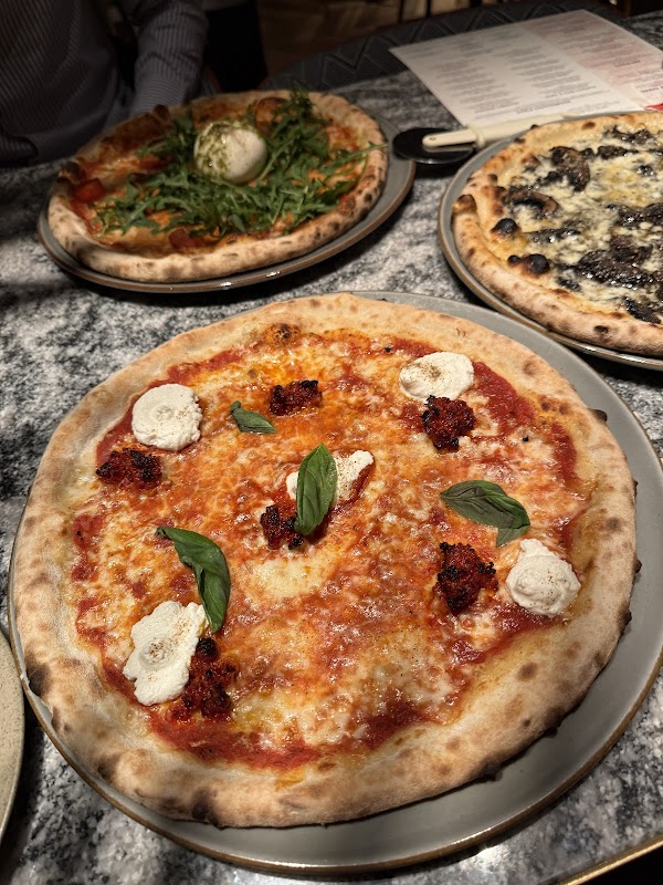 V modern Italian Antwerp fashion 4