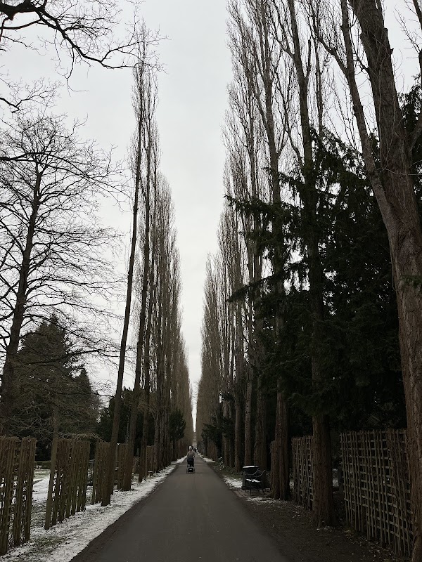 Assistens Cemetery 4
