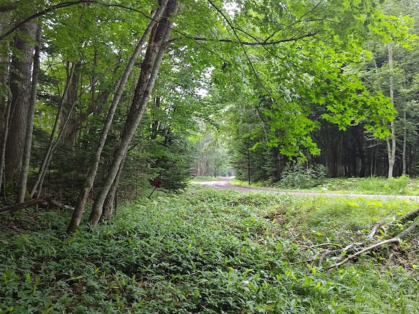Taushubetsu River Bridge 3