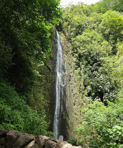 Manoa Falls