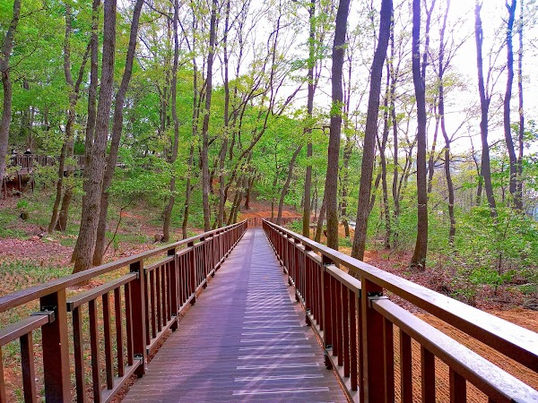 부천자연생태공원 3