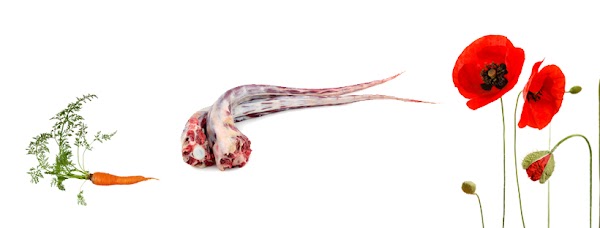 Zwettler's Wirtshaus 4