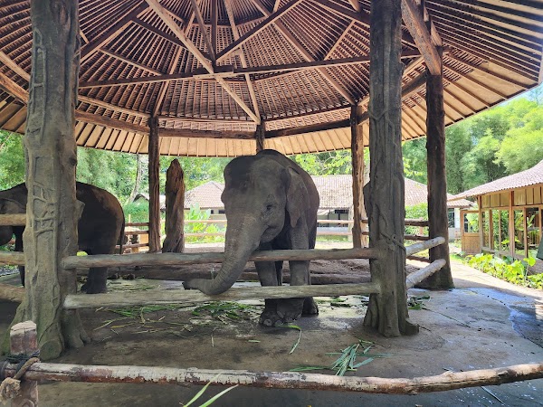 Bali Safari and Marine Park 2