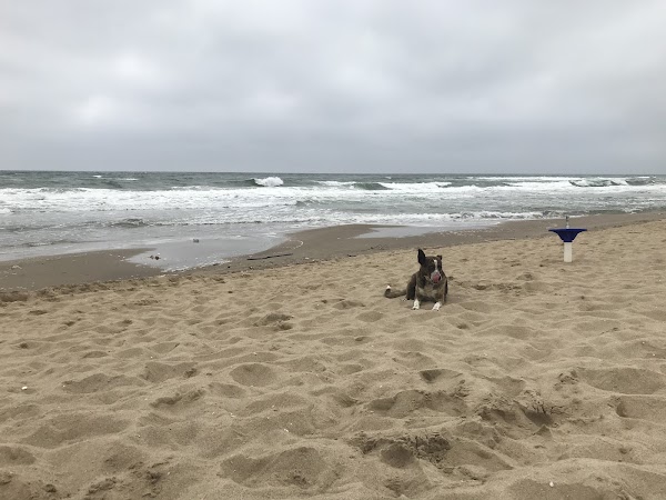 Spiaggia della Plaia 2