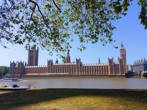 St Thomas' Riverside Garden 4
