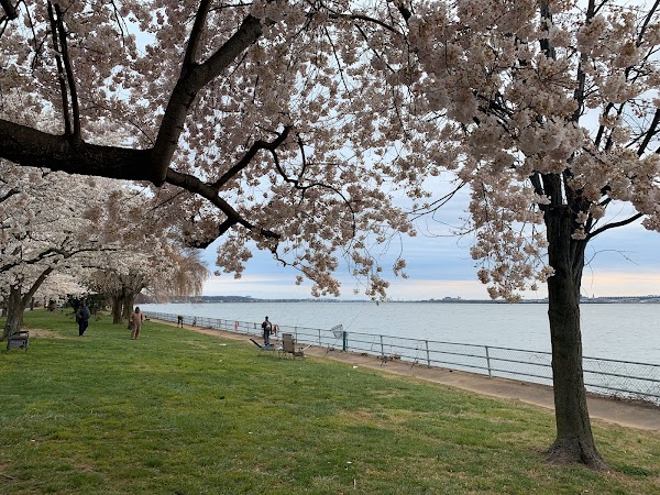 East Potomac Park 6