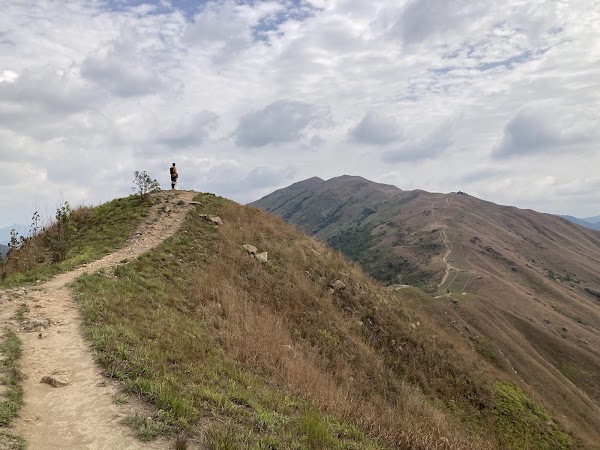 Lam Tsuen Country Park 5