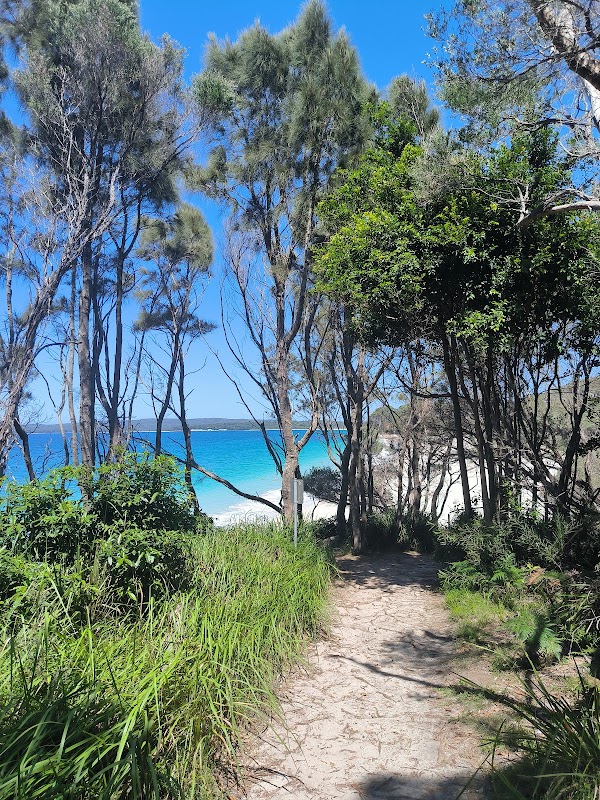 White Sands walk and Scribbly Gum track