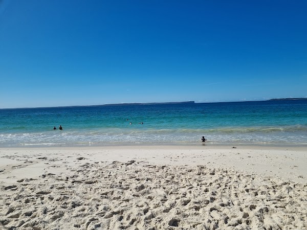 White Sands walk and Scribbly Gum track 5