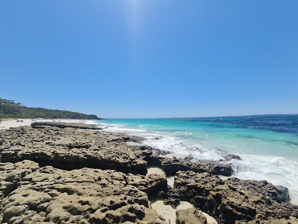 White Sands walk and Scribbly Gum track 4