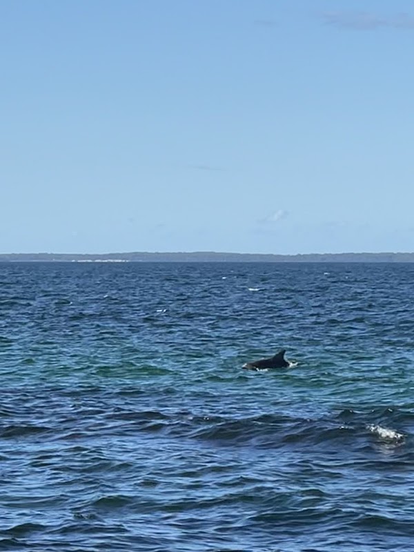 White Sands walk and Scribbly Gum track 2