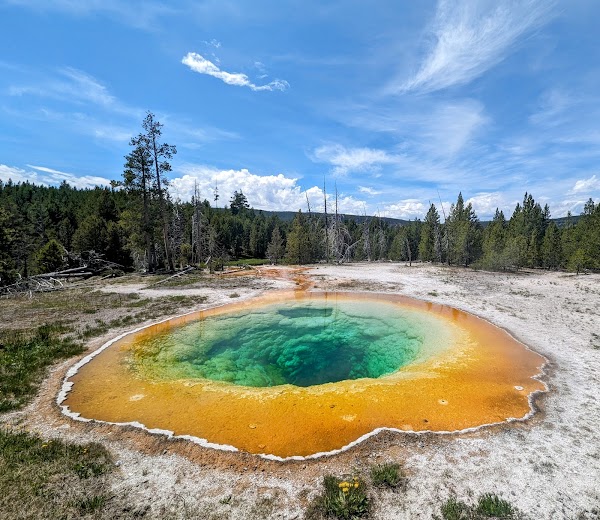 Upper Geyser Basin 1