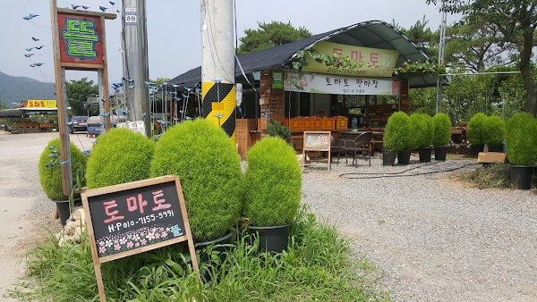 퇴촌토마토.뜰농장.토마토.