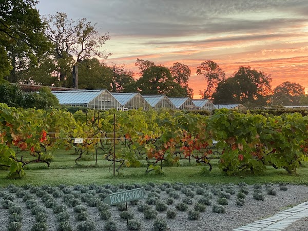 Rosendals Trädgård 1