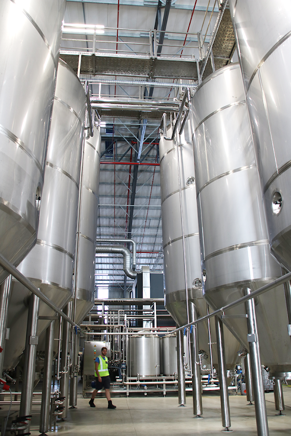 Devil’s Peak Beer Company (Brewery)