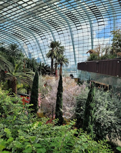 Flower Dome