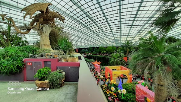 Flower Dome 5