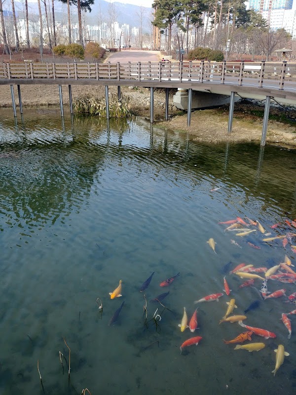 Busan Citizens Park 6