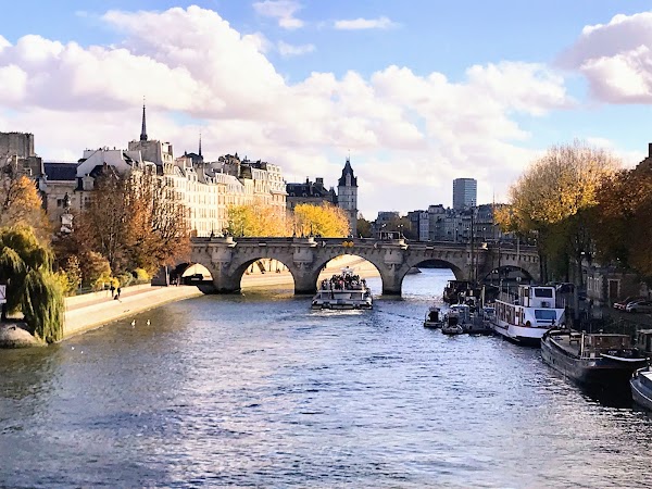 Île de la Cité 5