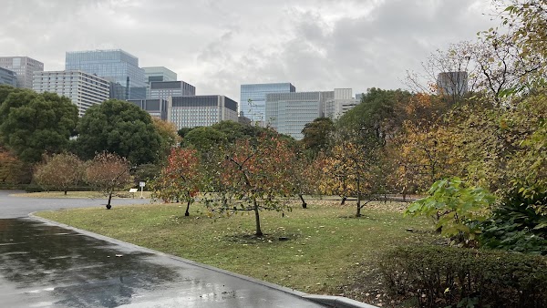 The East Gardens of the Imperial Palace 1