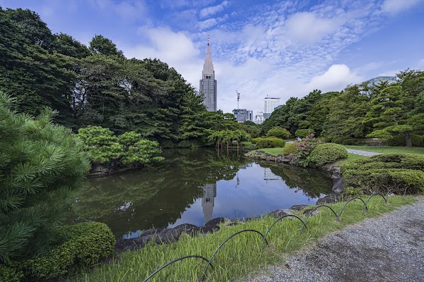 Shinjuku Gyoen National Garden 1