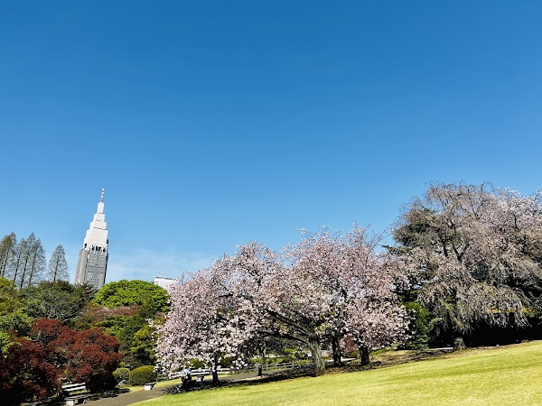 Shinjuku Gyoen National Garden 5