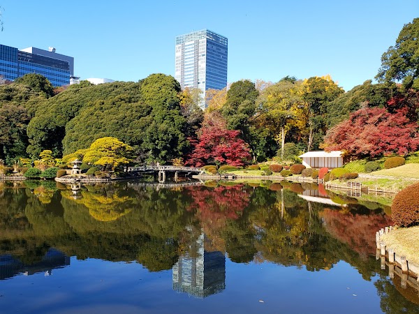 Shinjuku Gyoen National Garden 4