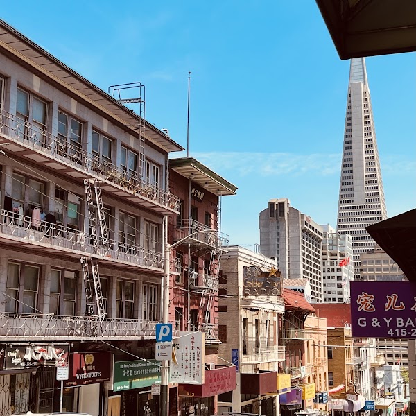 Transamerica Pyramid 3