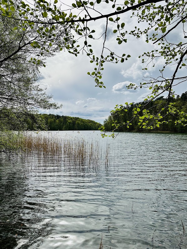 Liepnitzsee 5