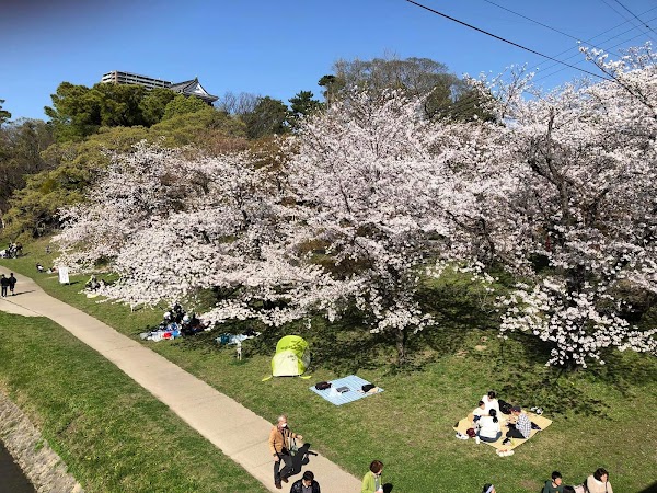 Okazaki Park 2