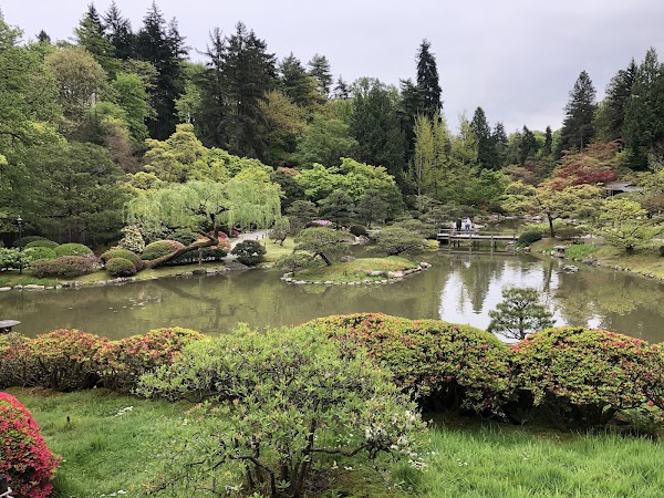 Seattle Japanese Garden 1