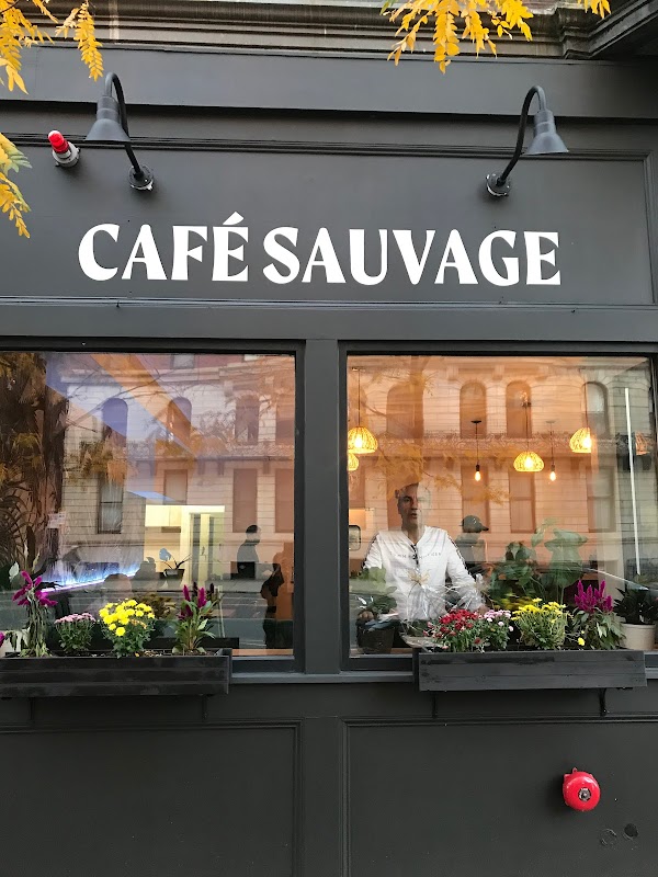 Cafe sauvage 1