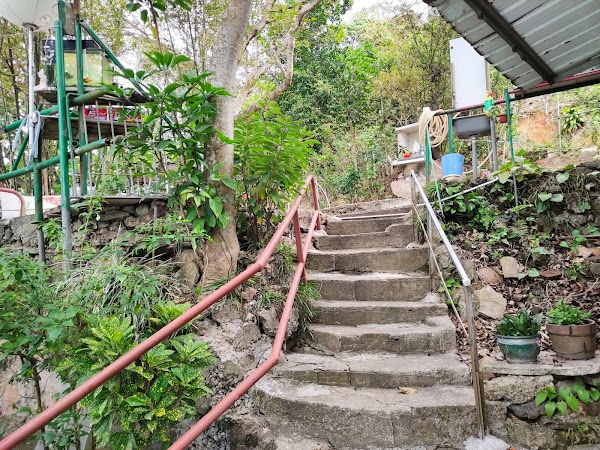 Sai Wan Swimming Shed 3