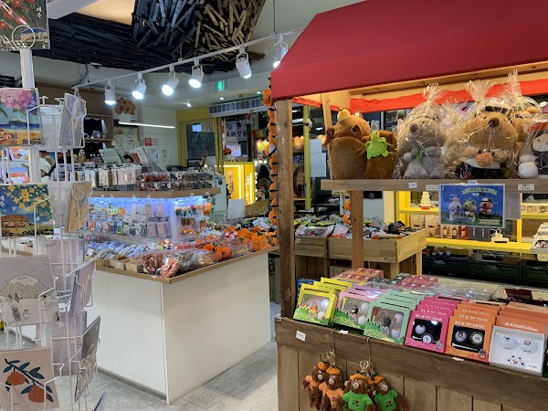 Seogwipo Olle Market 5