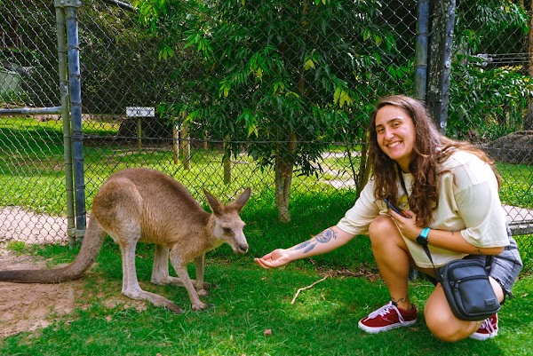 Currumbin Wildlife Sanctuary 5