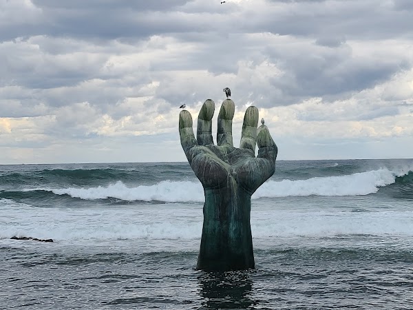 Hand of Mutual Shake 1