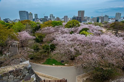 Fukuoka's Alluring Charms: A Full-Day Exploration of the City's Highlights 3