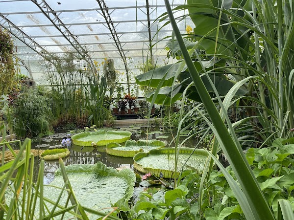 Oxford Botanic Garden 4