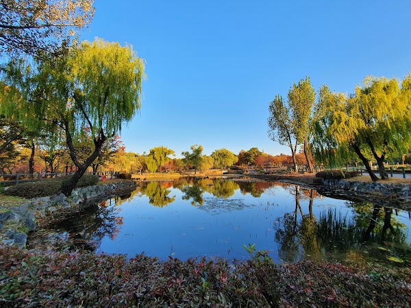 Yongsan Family Park 6