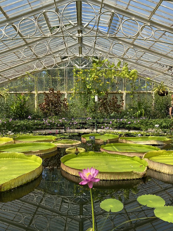Royal Botanic Gardens, Kew 4