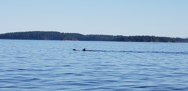 Salt Spring Island 2